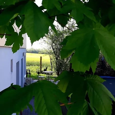 Апартаменты Am Felde Mit Sauna Und Terrasse *
