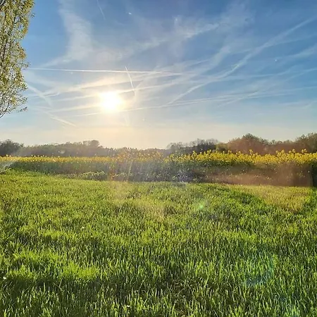 Am Felde Mit Sauna Und Terrasse Апартаменты